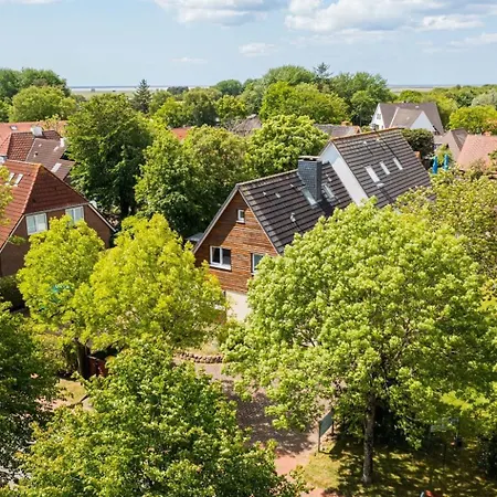 Wohnung Og Strandlaeufer Id 469 *